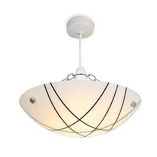 Upside down online ceiling light shades